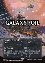 Petrified Field