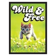 60 Fundas Small Kitten