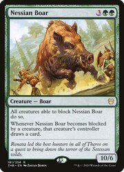 Cinghiale Nessian