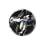 Moneda MAerodactyl