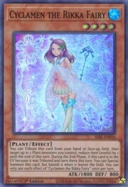 Ciclamino la Fata Rikka