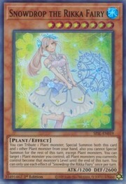 Bucaneve la Fata Rikka