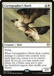 Falco del Cartografo