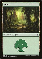 Foresta
