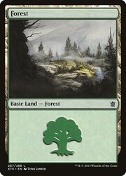 Foresta