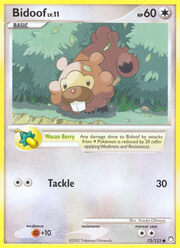 Bidoof Lv.11