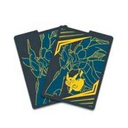 Team Up: 1 Pikachu & Zekrom Divider