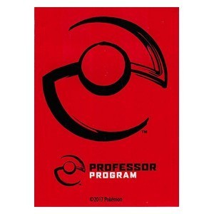65 Fundas Professor Program