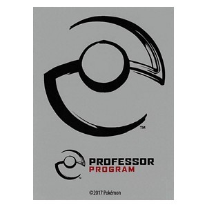 65 Fundas Professor Program