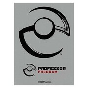 65 Fundas Professor Program