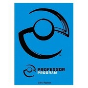 65 Fundas Professor Program