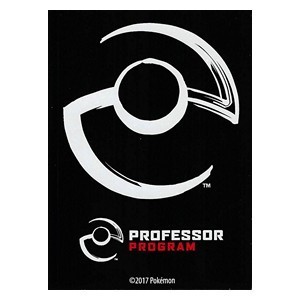 65 Fundas Professor Program