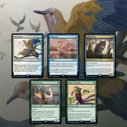 Secret Lair Drop Series: Ornithological Studies Set