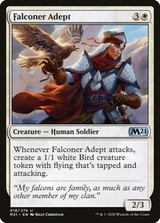 Falconiera Esperta