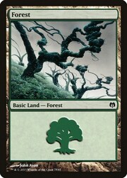 Foresta