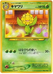 Sunflora
