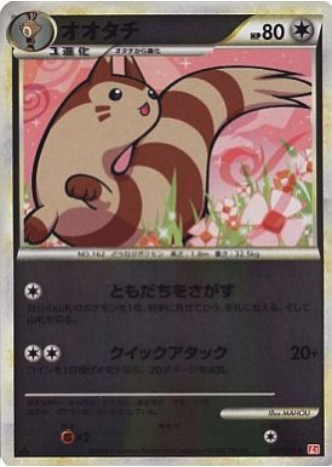 Furret Card Front