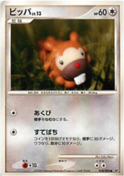 Bidoof Lv.13