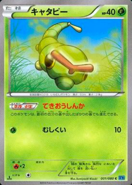 Caterpie Card Front