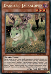 Pericolo!? Jackalope?