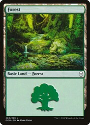 Foresta