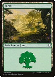 Foresta