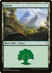 Foresta