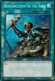 Rinforzi dell'Esercito