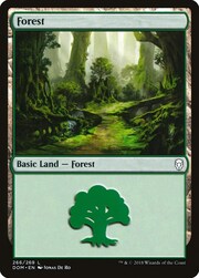 Foresta
