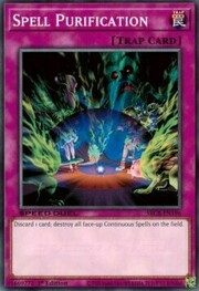 Spell Purification
