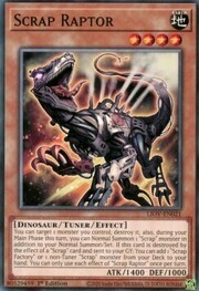 Raptor Frammento