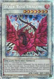 Drago Rosa Nera