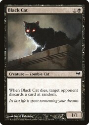 Gatto Nero
