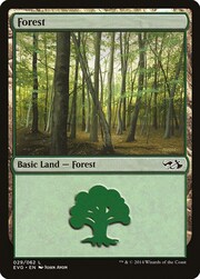 Foresta