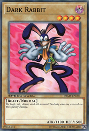 Coniglio Oscuro