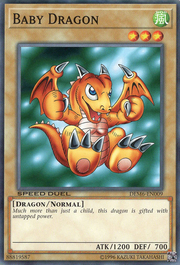 Cucciolo di Drago