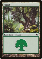Foresta