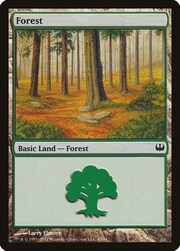 Foresta
