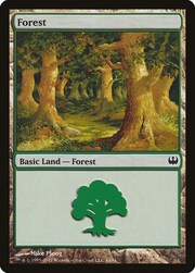 Foresta