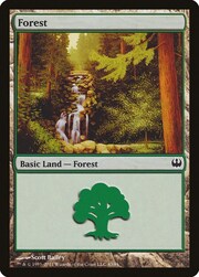 Foresta