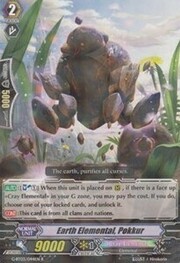Earth Elemental, Pokkur