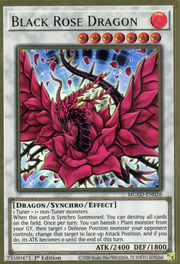 Drago Rosa Nera