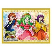 Expansion Set: Special Anniversary Box 2020: Fundas Maiden