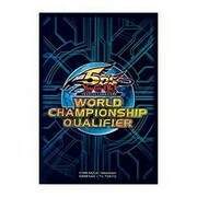 15 Fundas WCQ 2010