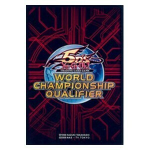 80 Fundas WCQ 2011