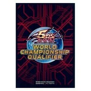 80 Fundas WCQ 2011