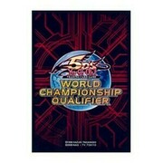 15 Fundas WCQ 2011