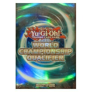 80 Fundas WCQ 2017