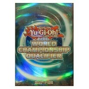 80 Fundas WCQ 2017