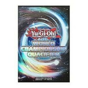 15 Fundas WCQ 2016
